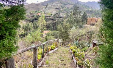 Quinta en venta en San Bartolomé
