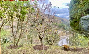 Quinta en venta en San Bartolomé