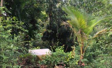 DIJUAL RUMAH JALAN LETJEND HARUN SOHAR KEBUN BUNGA PALEMBANG