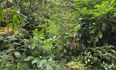 DIJUAL RUMAH JALAN LETJEND HARUN SOHAR KEBUN BUNGA PALEMBANG