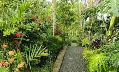 2 Unit Luxury Villa Full Furnished di Pengosekan Ubud