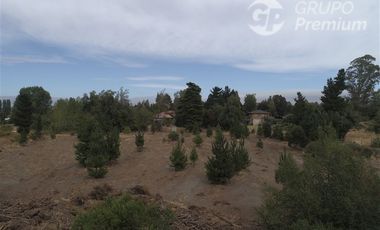 Parcela en Venta en Parcela 2 Los Castaños , Sector El Olivo - La Mona, Los Angeles