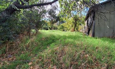 Parcela en Venta en Parcela 2 Los Castaños , Sector El Olivo - La Mona, Los Angeles