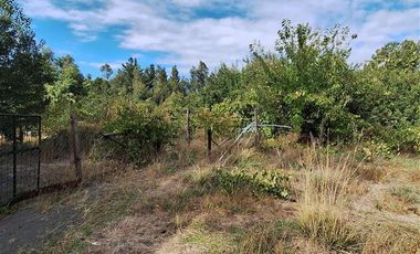 Parcela en Venta en Parcela 2 Los Castaños , Sector El Olivo - La Mona, Los Angeles