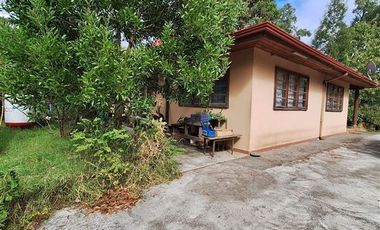 Parcela en Venta en Parcela 2 Los Castaños , Sector El Olivo - La Mona, Los Angeles