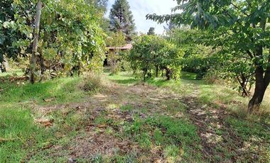 Parcela en Venta en Parcela 2 Los Castaños , Sector El Olivo - La Mona, Los Angeles