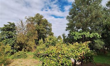 Parcela en Venta en Parcela 2 Los Castaños , Sector El Olivo - La Mona, Los Angeles