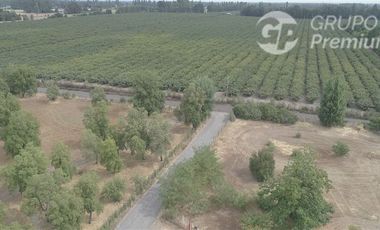 Parcela en Venta en Parcela 2 Los Castaños , Sector El Olivo - La Mona, Los Angeles