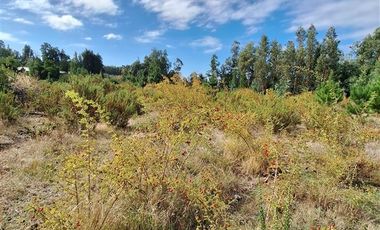 Parcela en Venta en Parcela 2 Los Castaños , Sector El Olivo - La Mona, Los Angeles