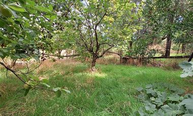 Parcela en Venta en Parcela 2 Los Castaños , Sector El Olivo - La Mona, Los Angeles