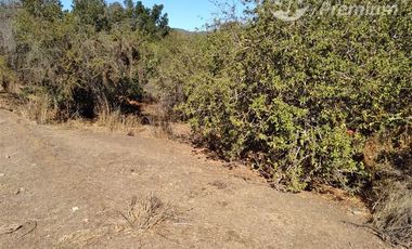 Parcela en Venta en Camino Colliguay / Ruta Orozco