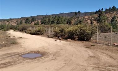 Parcela en Venta en Camino Colliguay / Ruta Orozco