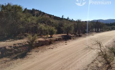 Parcela en Venta en Camino Colliguay / Ruta Orozco