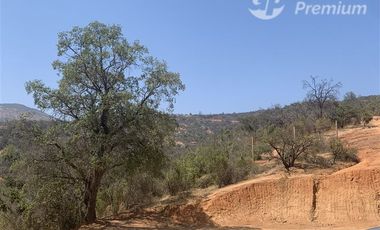 Parcela en Venta en Los Coligues / cruce de colliguay, Quilpué