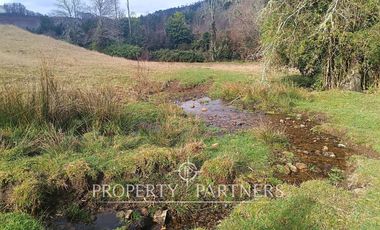 ¡Oportunidad en Panguipulli!  Campo 43 Hectáreas  Sector Dollinco Tayos Bajos