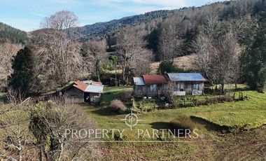 ¡Oportunidad en Panguipulli!  Campo 43 Hectáreas  Sector Dollinco Tayos Bajos