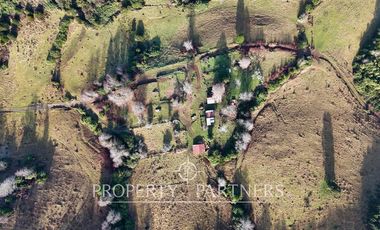 ¡Oportunidad en Panguipulli!  Campo 43 Hectáreas  Sector Dollinco Tayos Bajos