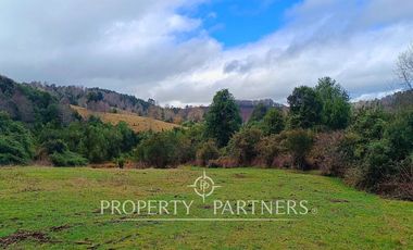 ¡Oportunidad en Panguipulli!  Campo 43 Hectáreas  Sector Dollinco Tayos Bajos
