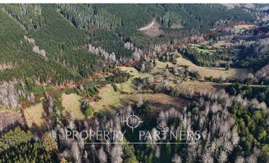 ¡Oportunidad en Panguipulli!  Campo 43 Hectáreas  Sector Dollinco Tayos Bajos