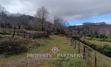 ¡Oportunidad en Panguipulli!  Campo 43 Hectáreas  Sector Dollinco Tayos Bajos