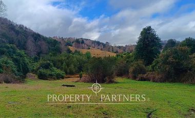 ¡Oportunidad en Panguipulli!  Campo 43 Hectáreas  Sector Dollinco Tayos Bajos