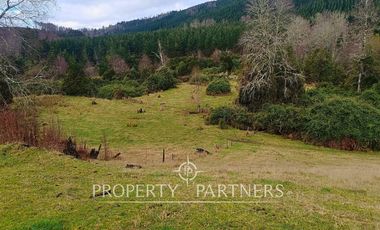 ¡Oportunidad en Panguipulli!  Campo 43 Hectáreas  Sector Dollinco Tayos Bajos