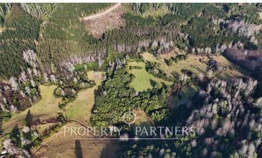 ¡Oportunidad en Panguipulli!  Campo 43 Hectáreas  Sector Dollinco Tayos Bajos