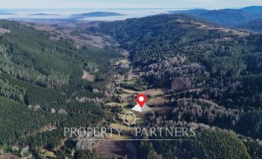 ¡Oportunidad en Panguipulli!  Campo 43 Hectáreas  Sector Dollinco Tayos Bajos