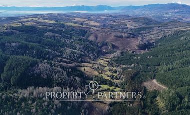 ¡Oportunidad en Panguipulli!  Campo 43 Hectáreas  Sector Dollinco Tayos Bajos