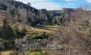 ¡Oportunidad en Panguipulli!  Campo 43 Hectáreas  Sector Dollinco Tayos Bajos