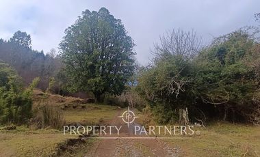 ¡Oportunidad en Panguipulli!  Campo 43 Hectáreas  Sector Dollinco Tayos Bajos