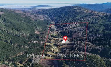 ¡Oportunidad en Panguipulli!  Campo 43 Hectáreas  Sector Dollinco Tayos Bajos
