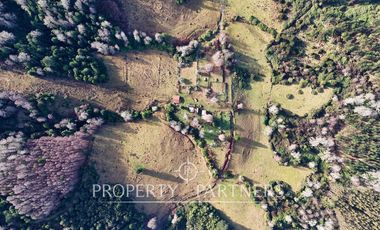 ¡Oportunidad en Panguipulli!  Campo 43 Hectáreas  Sector Dollinco Tayos Bajos
