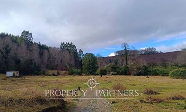¡Oportunidad en Panguipulli!  Campo 43 Hectáreas  Sector Dollinco Tayos Bajos