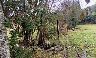 ¡Oportunidad en Panguipulli!  Campo 43 Hectáreas  Sector Dollinco Tayos Bajos