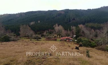 ¡Oportunidad en Panguipulli!  Campo 43 Hectáreas  Sector Dollinco Tayos Bajos