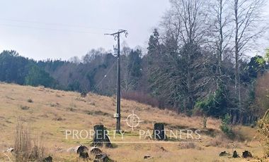 ¡Oportunidad en Panguipulli!  Campo 43 Hectáreas  Sector Dollinco Tayos Bajos