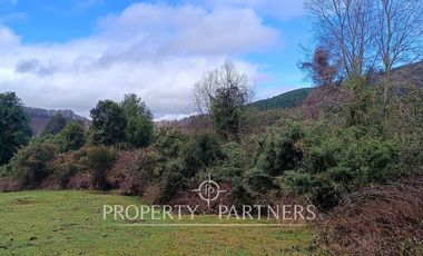 ¡Oportunidad en Panguipulli!  Campo 43 Hectáreas  Sector Dollinco Tayos Bajos