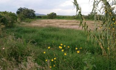 TERRENO EN VENTA ENTRE ATLIXCO E IZUCAR DE MATAMOROS PUEBLA