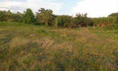 TERRENO EN VENTA ENTRE ATLIXCO E IZUCAR DE MATAMOROS PUEBLA