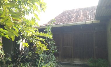 Tanah dijual 1557m bonus rmh joglo dekat hotel Matahari Jogyakarta