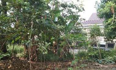 Tanah dijual 1557m bonus rmh joglo dekat hotel Matahari Jogyakarta