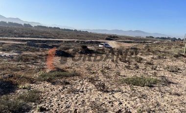 SITIOS DE 5.000M2 PARA INVERSIÓN SECTOR SERENA GOLF