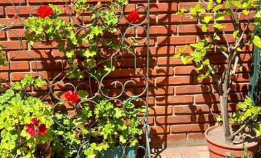 Departamento de cuatro ambientes con Patio y Cochera en Venta en Avellaneda