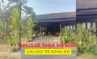 Rumah Tambak sari BLORA