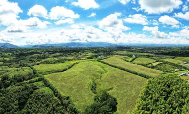 LOTE EN VENTA EN LINO, PEREIRA