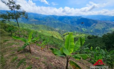 Finca mixta en Santuario Risaralda