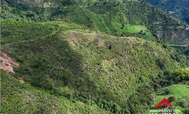Finca mixta en Santuario Risaralda