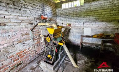 Finca mixta en Santuario Risaralda