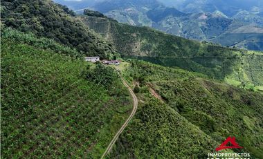 Finca mixta en Santuario Risaralda